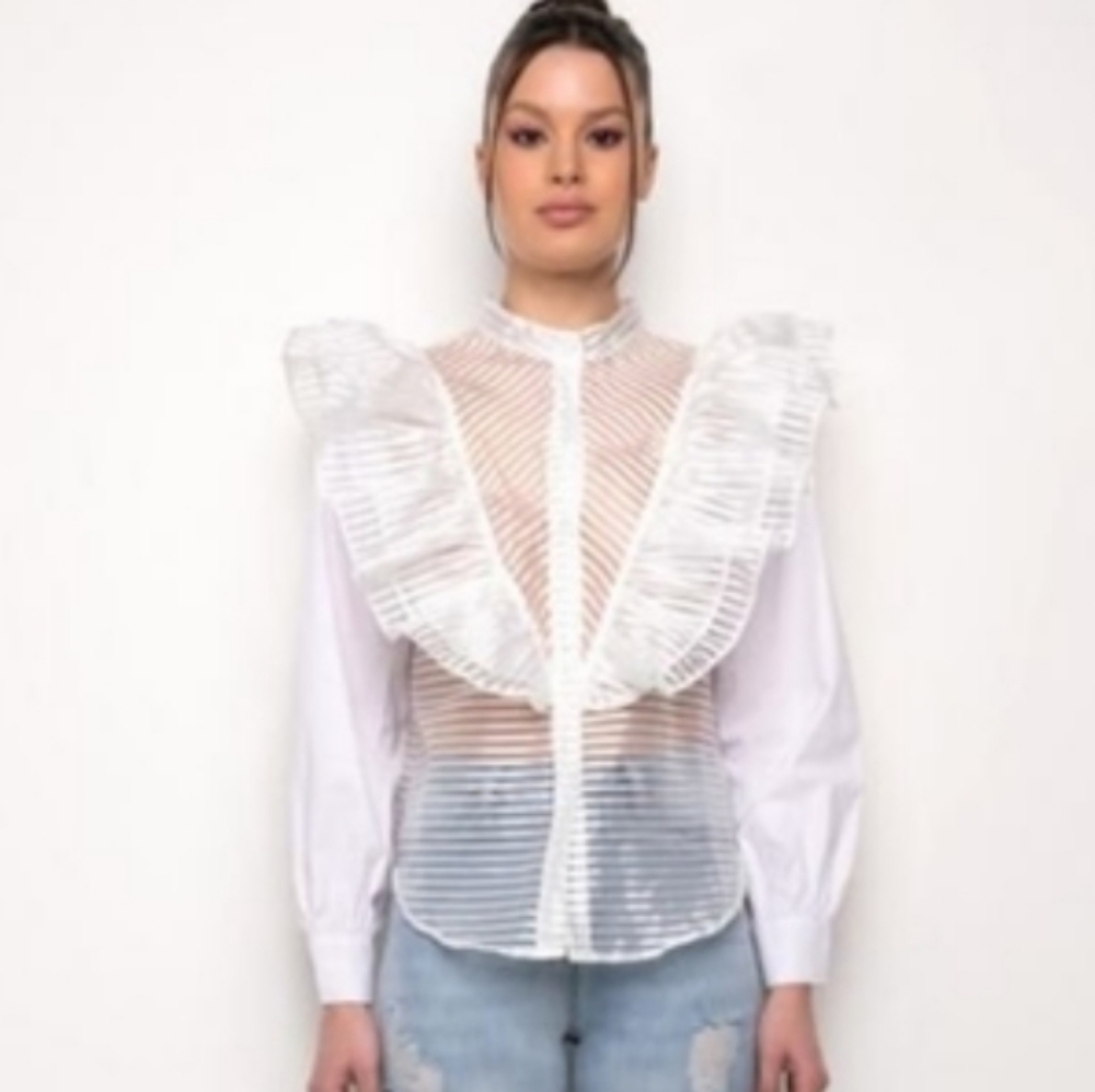 Organza Mesh Blouse Item Pic 2